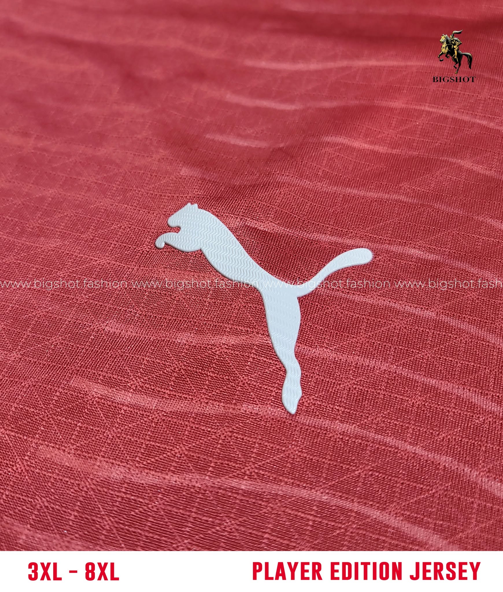 Big Size Jersey - Portugal Home (Player Edition) - Image 4